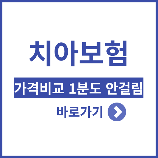 치아보험 가격비교