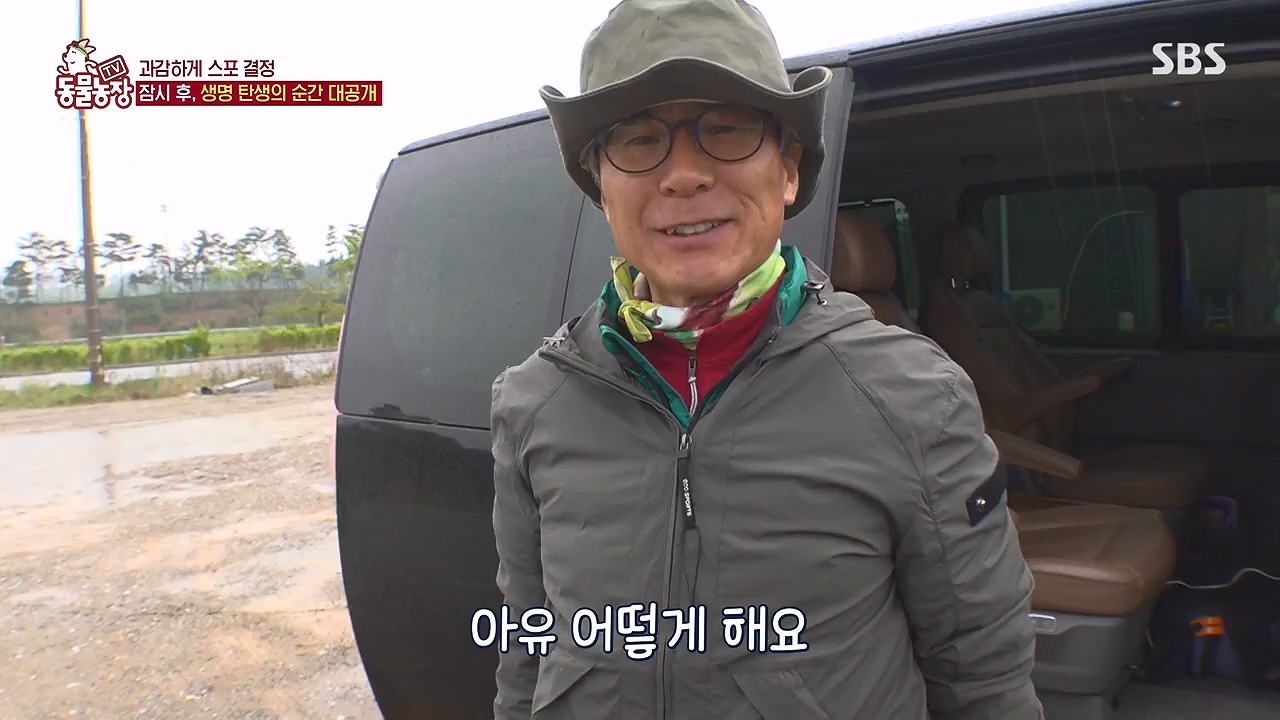 TV 동물농장.E1176.240617p-NEXT.mp4_20240616_171032.140.jpg