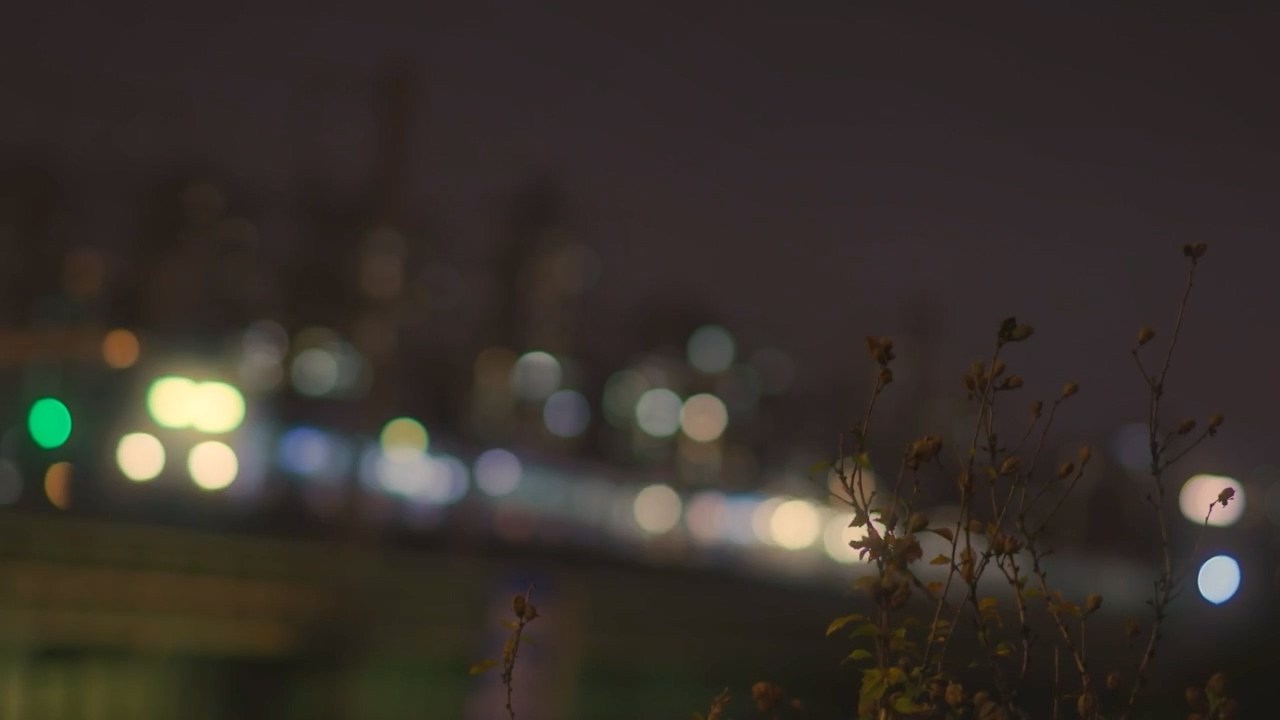 성탄 특집다큐 겨울 반바지.E01.231225p-NEXT.mp4_20231225_154952.439.jpg