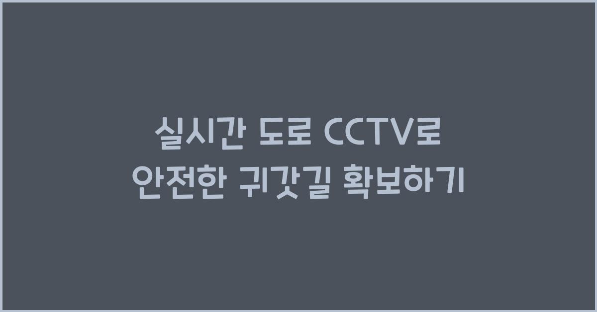 실시간 도로 cctv