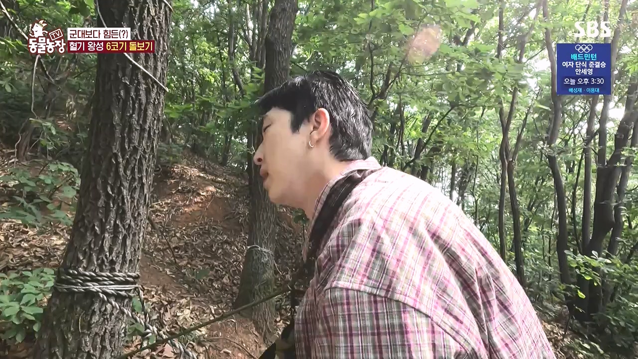 TV 동물농장.E1183.240805p-NEXT.mp4_20240804_154937.614.jpg