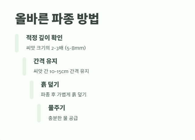 수레국화 파종시기 필수 정보 6