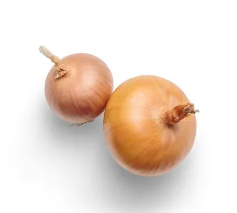 양파껍질 차 효능 영양성분_13