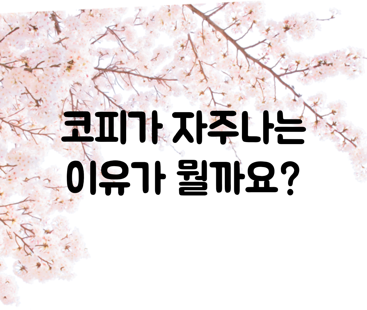  코피가 자주나는 이유, 원인 / 갑자기, 아침에 코피나는 이유