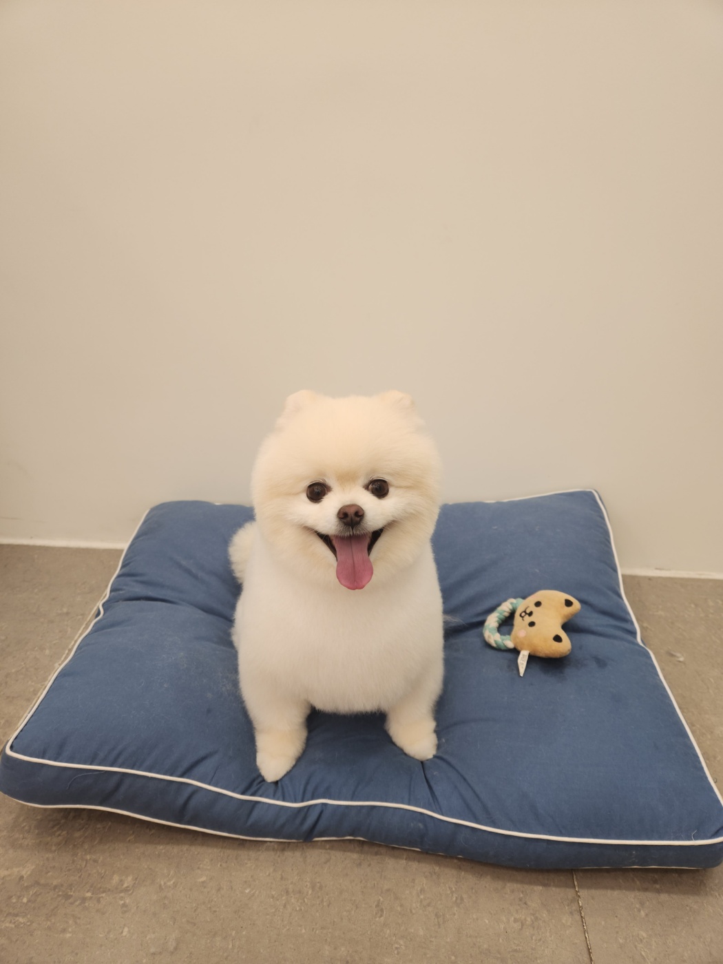 두리미용실 이미지