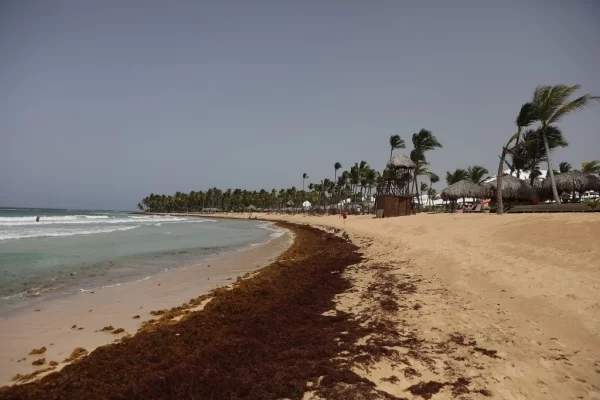 포브스 선정&#44; 질병 발병 위험이 가장 높은 여행지 도미니카 공화국 푼타 카나(Punta Cana).