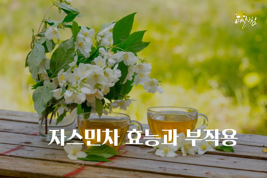  자스민차 효능과 부작용 다이어트에 좋은 자스민티