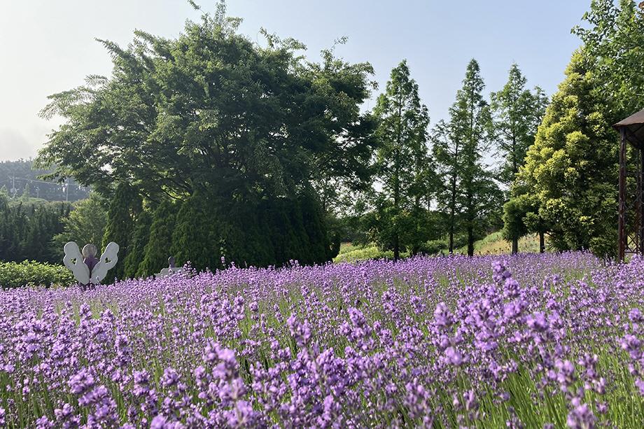 태안 한달살기