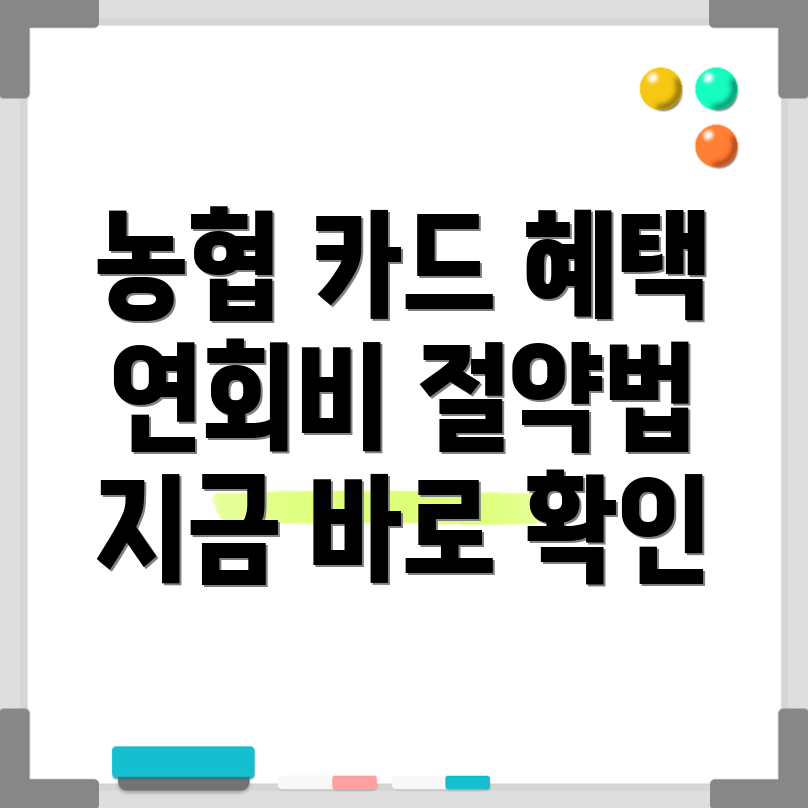 농협 ZGM 스트리밍 카드