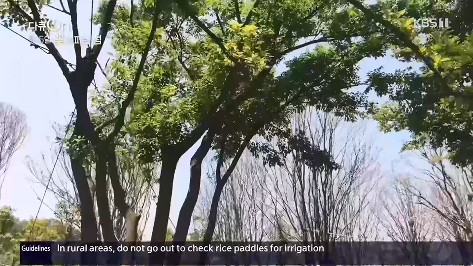 다큐 On.E201.230610p.H264-F1RST.mp4_20230611_165947.173.jpg