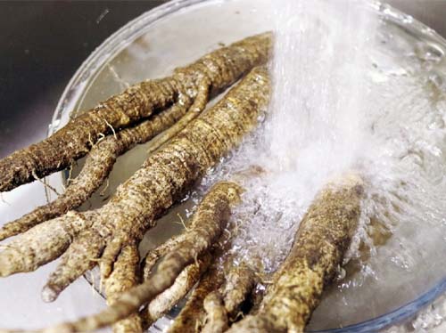 2월 제철 반찬 : 새콤달콤 더덕무침 맛있게 만드는 법 1. 더덕 씻기