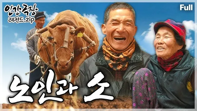 전남 여수 섬여행 예술의 섬 장도 리뷰_3