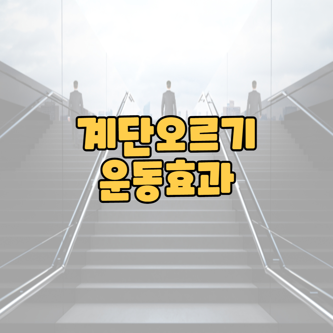  계단오르기 운동효과 I 계단오르기 운동방법