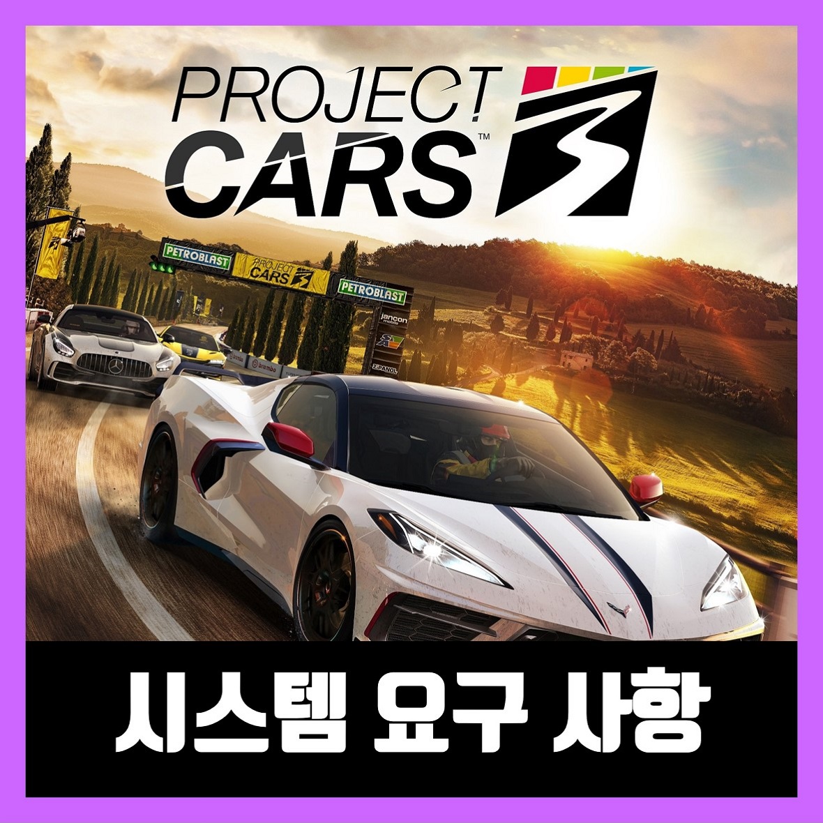  프로젝트 카스3 pc 사양 Project CARS 3