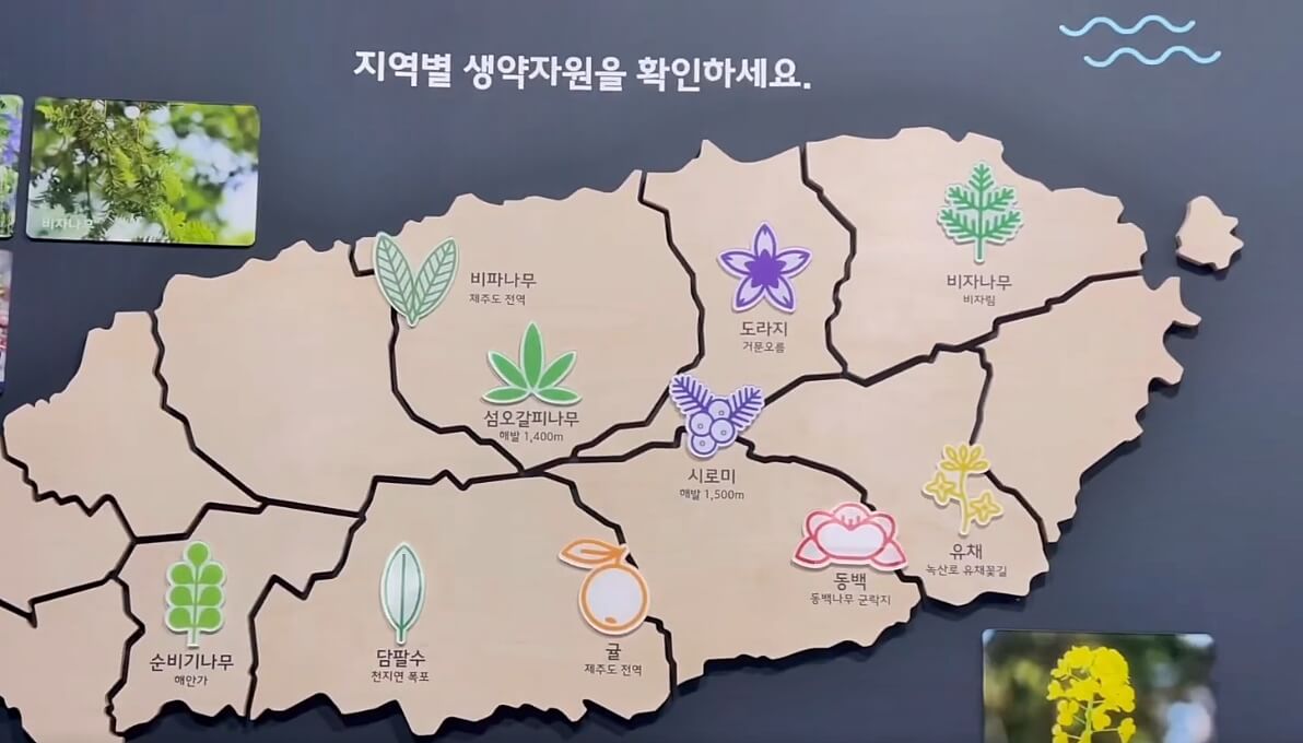 생약누리