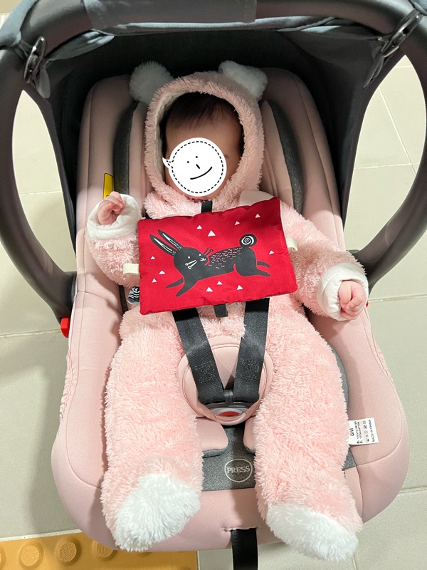  복덩이 첫 바구니 카시트 페도라 C0+