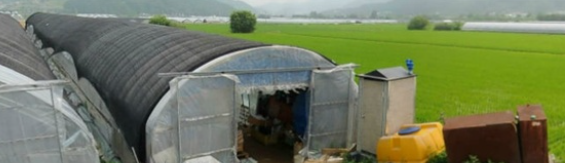 시골에서 난리났음..