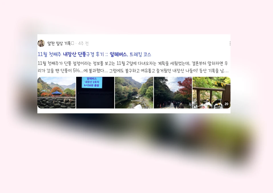 알레버스 내장산 단풍여행_3_subsection