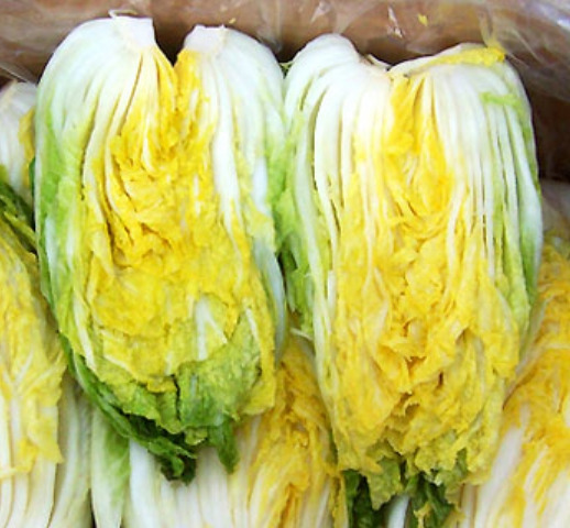 메밀부침