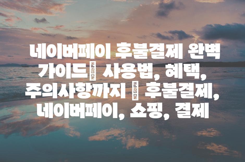 샘플 (81)