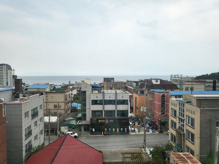 티스토리