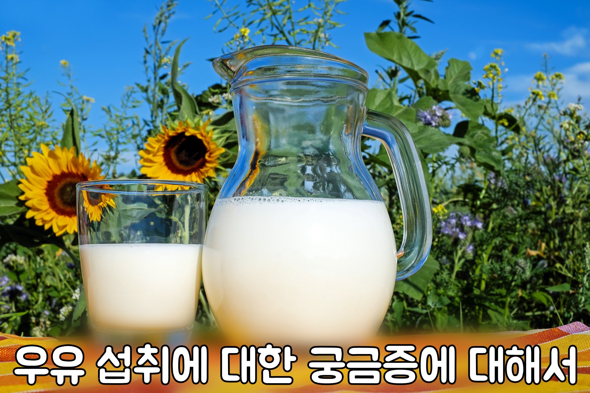 우유 섭취에 대한 궁금증에 대해서 1