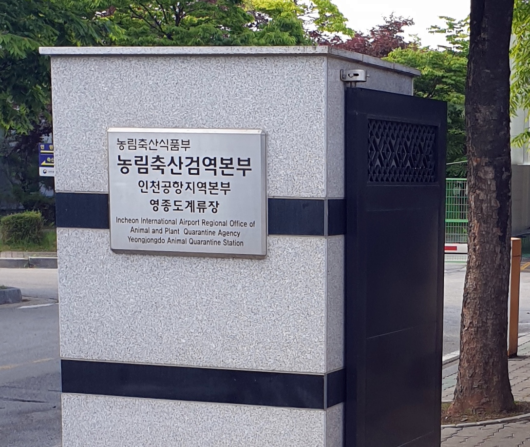  미국에서 강아지 한국입국 계류장 항체검사 픽업 서비스 강아지검역 고양이검역 강아지한국입국운송 고양이한국입국운송 Dog Cat South Korea Quarantine Facilities Service