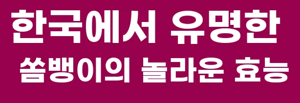 한국에서 유명한 쏨뱅이의 놀라운 효능