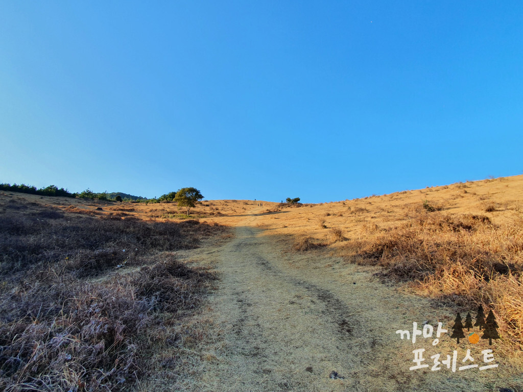 영주산 완만한 능선