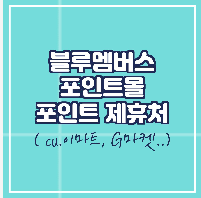  현대 블루멤버스 포인트 사용하기