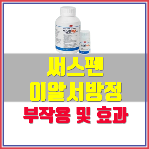  써스펜 8시간 이알 서방정 650mg 부작용 효능 복용법