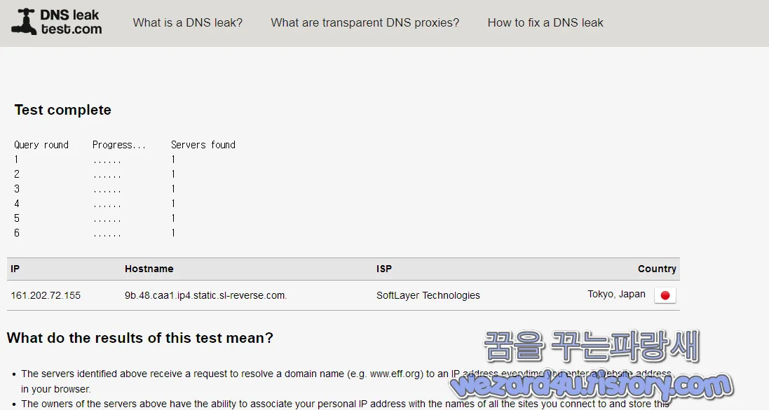 DNS leak test 테스트 결과