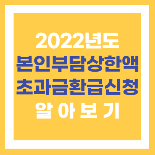  [건강보험] 2022년도 본인부담상한액 확정! 초과금 환급 신청방법 정리