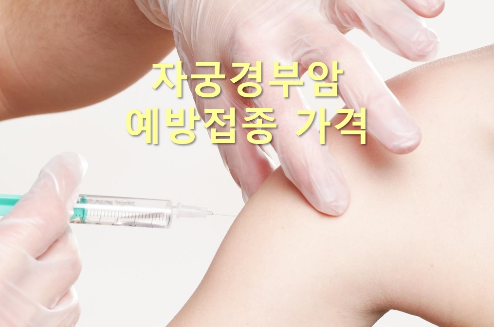  자궁경부암 예방접종 가격과 자궁경부암 예방접종 무료 대상