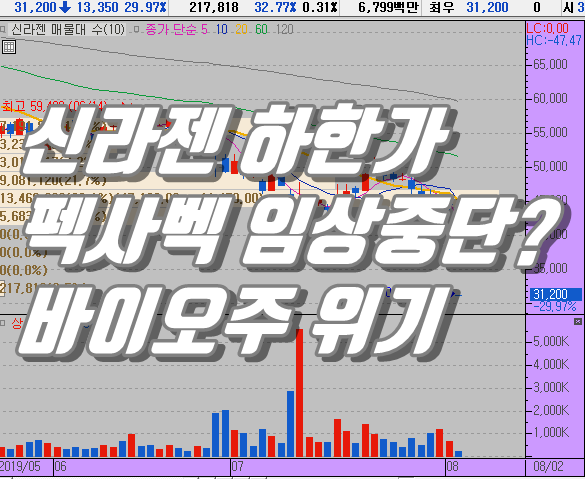  신라젠 주가 하한가 직행, 티슈진데자 뷰? 쳐다도 보지 말자