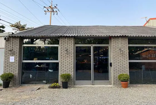 하우스플랜트