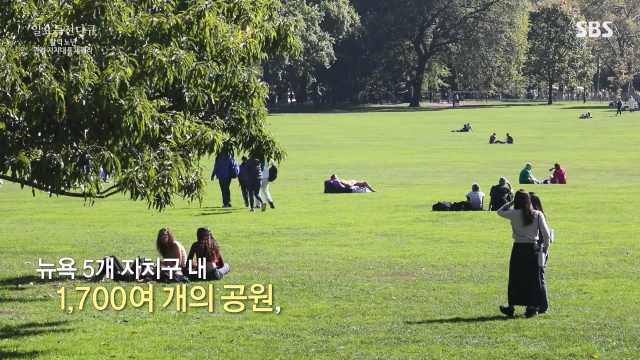 일요특선 다큐멘터리.E343.231127p-NEXT.mp4_20231126_172747.310.jpg