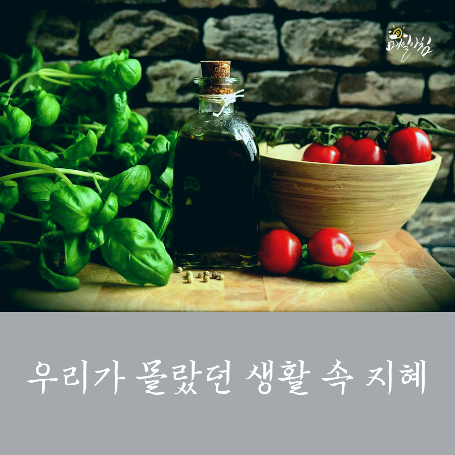  [매일아침좋은글] 우리가 몰랐던 생활 속 지혜
