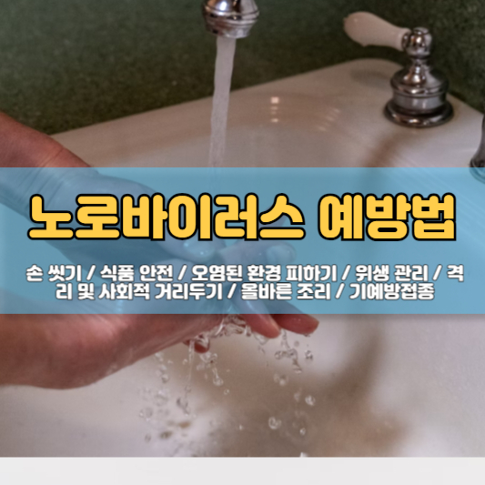 노로바이러스 원인, 증상, 치료, 예방법, 전염, 검사방법, 그리고 장염에 좋은 음식