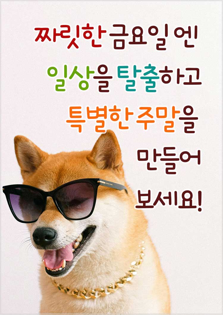 금요일 인사말 오전 오후 안부인사-짜릿한 금요일 엔 일상을 탈출하고 특별한 주말을 만들어보세요!