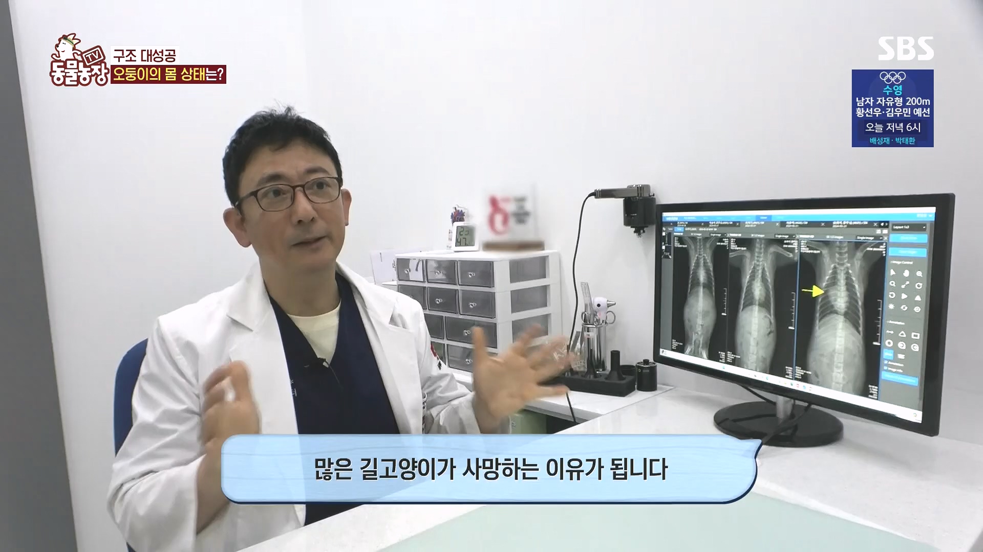 TV 동물농장.E1182.240728p.H264-F1RST.mp4_20240728_152532.255.jpg