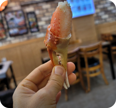 생방송 투데이 키워드다큐 성공인 박달대게 영덕 강구항 맛집