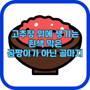 고추장 위에 생기는 흰색 막은 곰팡이가 아닌 골마지