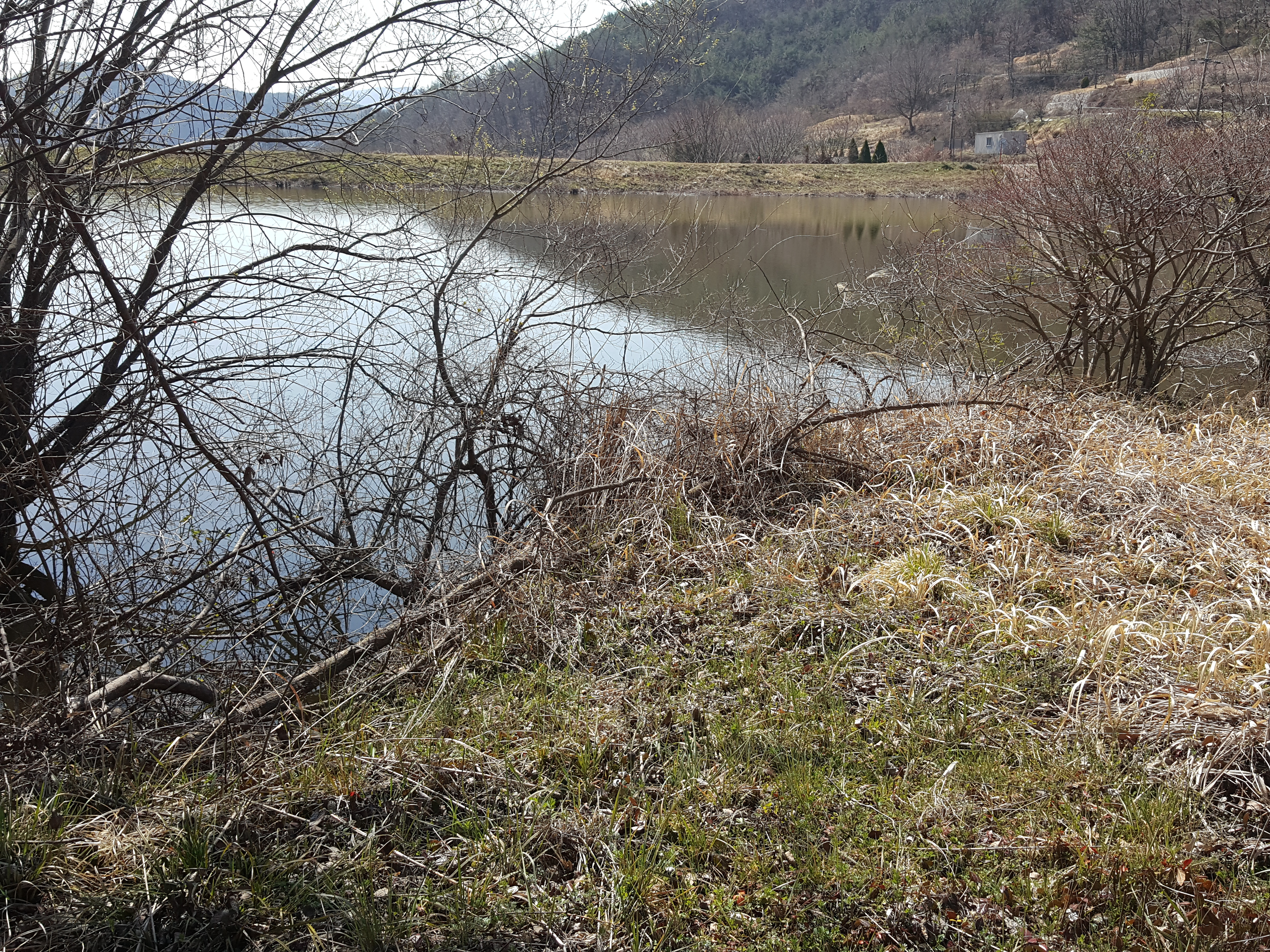  (땅나라 226번) 경남 의령시내에서 20분거리, 남서향 저수지 바로뒤      토지 2필지  729평 매매합니다. 문의 055)585-0053