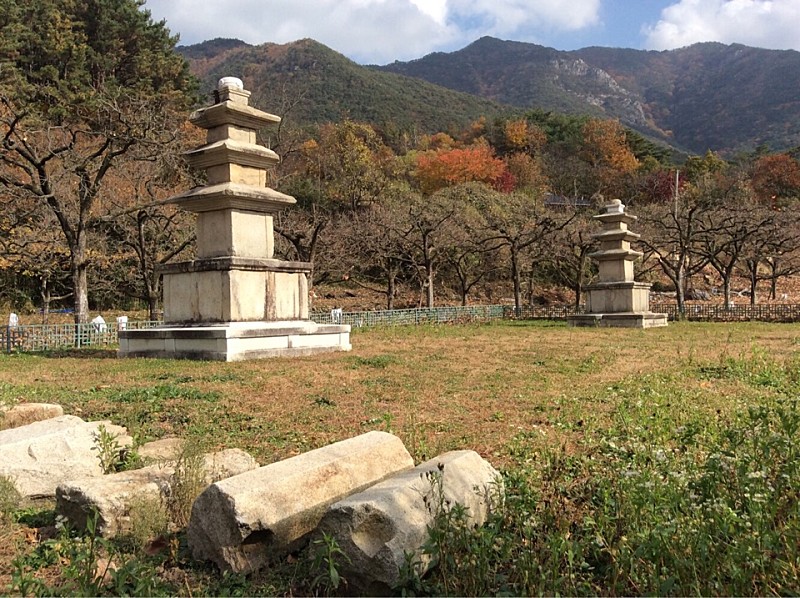  보물 청도 장연사지 동·서 삼층석탑