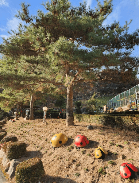 단양 가볼만한곳 베스트10