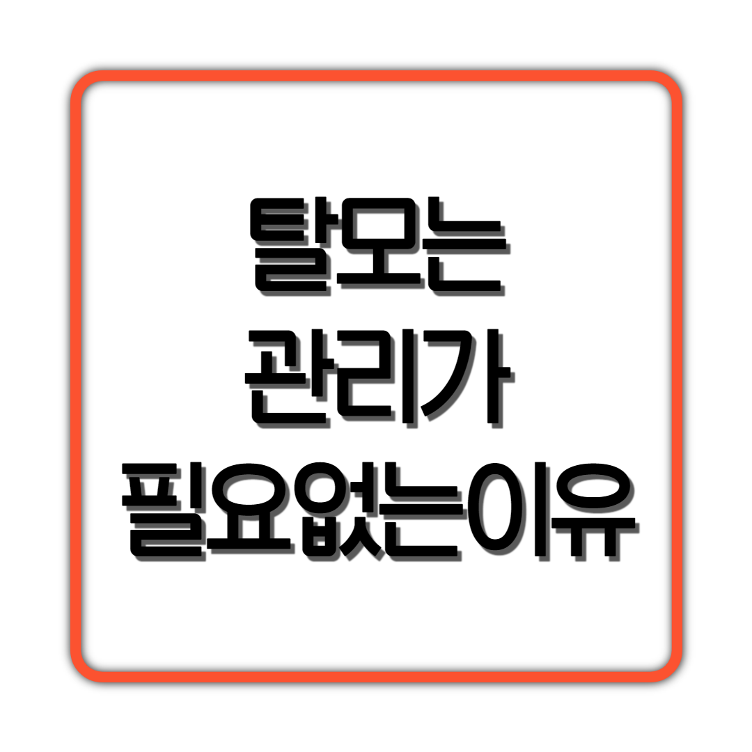  탈모는 관리가 필요없는 이유