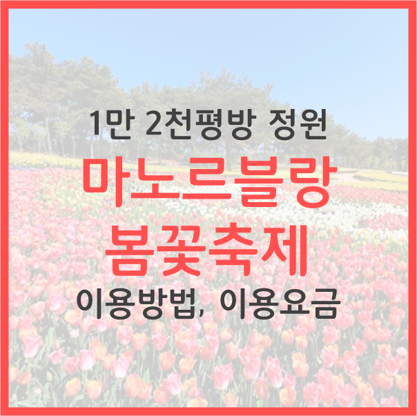  마노르블랑 봄꽃축제 제주 봄축제 축제기간 이용방법 이용요금