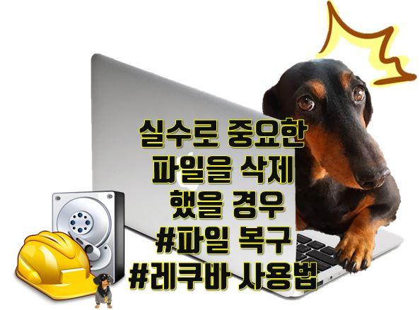  "무료" 복구 프로그램 Recuva 레쿠바 사용 방법