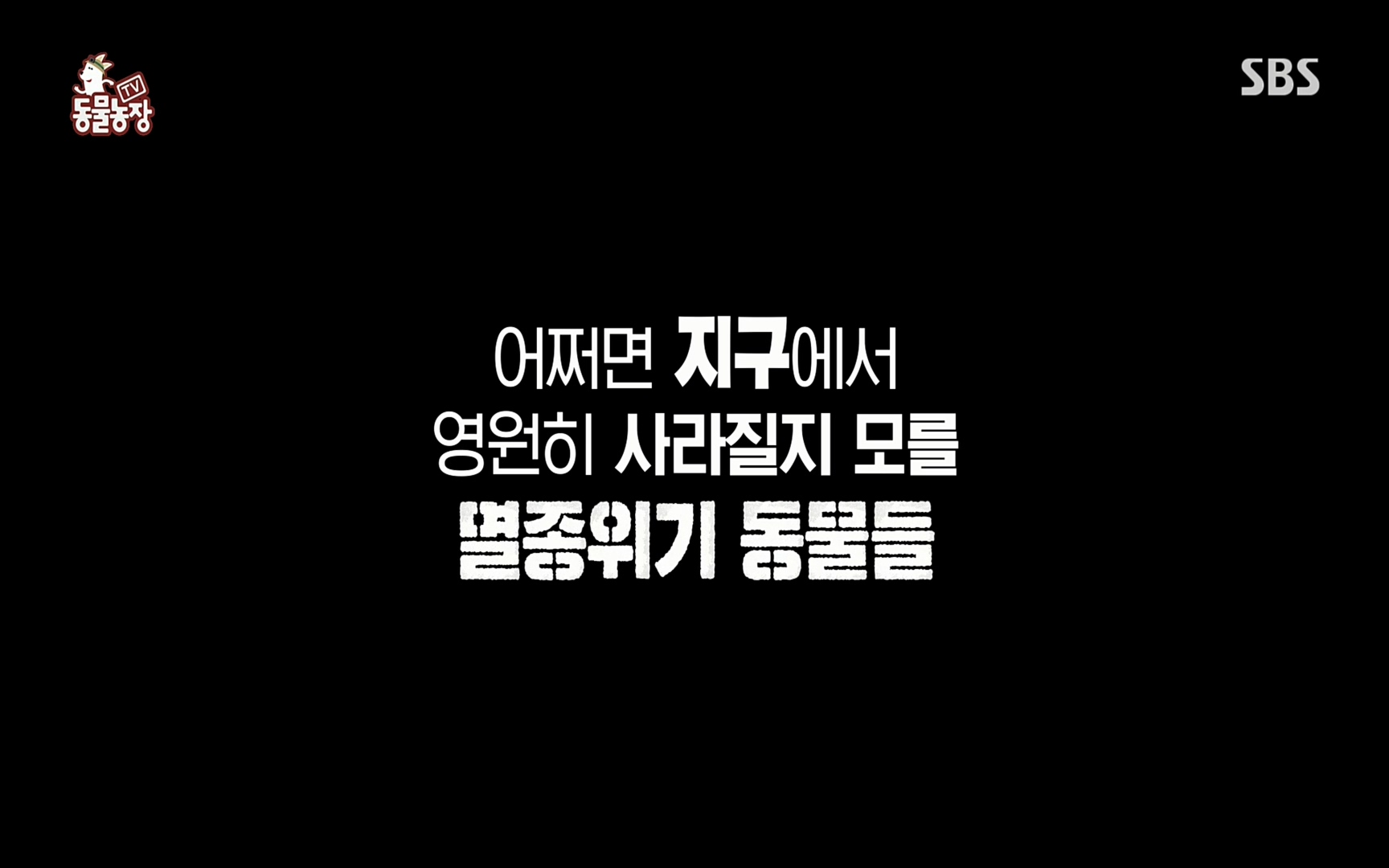 TV 동물농장.E1066.220424p.H264-F1RST.mp4_20220424_194506.450.jpg